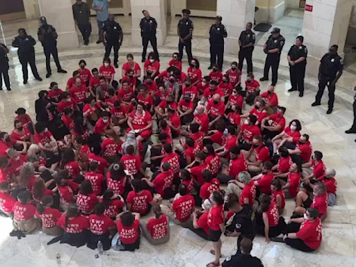 Demonstrators on Capitol Hill arrested while protesting US support for Israel