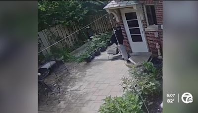 Pets being attacked in recent rash of home invasions in Detroit's Boston Edison District