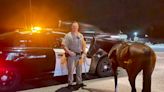 California cops arrested a man on a drunken-driving charge, even though he was riding a horse