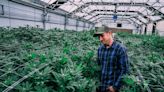 Is Tilray Stock a Buy With Its Acquisition of Hexo?