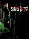 Spider Forest