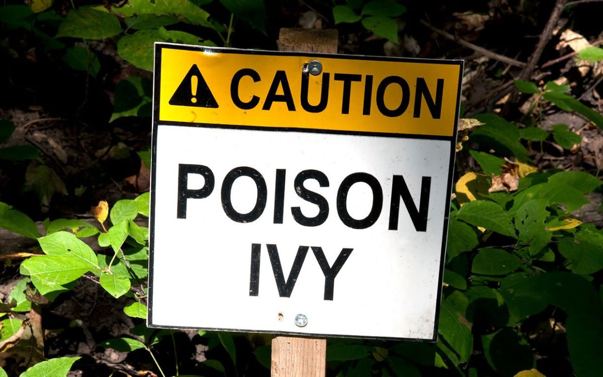 How Long Does Poison Ivy Stay Active on Clothes, Shoes, Gear, Etc.?
