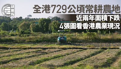 全港729公頃常耕農地 面積連跌兩年 4張圖看香港農業現況