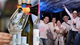 Fiesta de Colores 2023: Los mejores momentos acompañados por más de 30 vinos selectos de Cetto