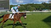 Sans rien connaître aux paris hippiques, j'ai découvert les coulisses de l'Hippodrome ParisLongchamp et tenté gagner le gros lot (ça s'est mal terminé, mais j'ai adoré)