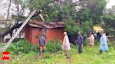 Six injured as banyan hammers car at Bicholim, houses marooned across Goa | Goa News - Times of India