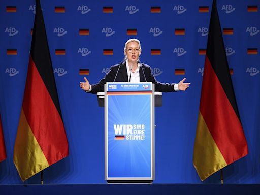 European Parliament could soon have a new far-right group, led by AfD