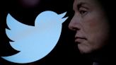 Elon Musk anunció que cambiará el logo de Twitter y que ya tiene con qué reemplazarlo