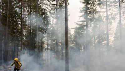 Crews make progress as massive Park fire swells beyond 350,000 acres