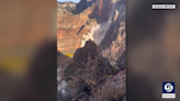 Dust cloud from Zion National Park rockfall disrupts traffic. ‘It sounded like thunder’