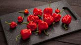 The world's hottest chillies are not for the faint-hearted