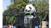 "Oso panda gigante" causa sensación en el Bosque de Chapultepec