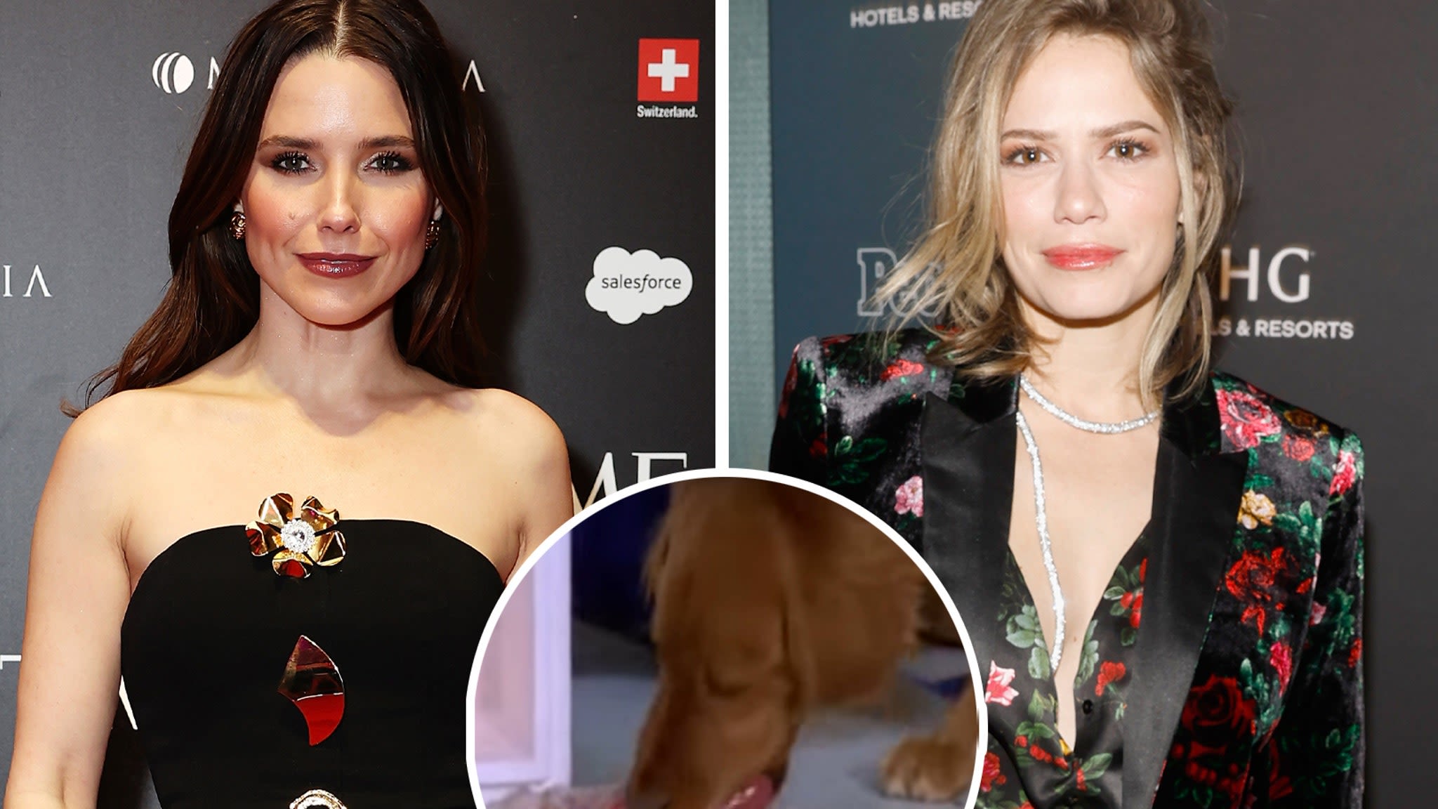 Sophia Bush and Bethany Joy Lenz Unpack 'Insane' Viral One Tree Hill Dog-Eating-Heart Scene