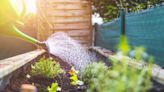 How Much Soil Should You Use in a Raised Bed Garden?