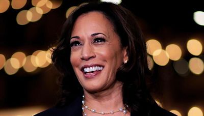 Biden just dropped out and endorsed Harris. What happens now?