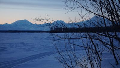 Something woolly is afoot in Alaska