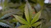 Rep. Matt Gaetz Wants To Nix Cannabis Testing For Military