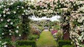 Want to Frolic in the 'Bridgerton' Gardens? Us Too