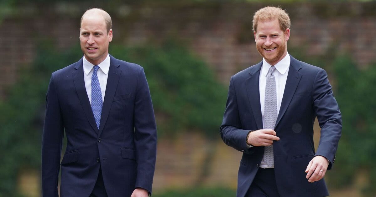 Prince Harry and Prince William fought 'dirty' and 'meant it'