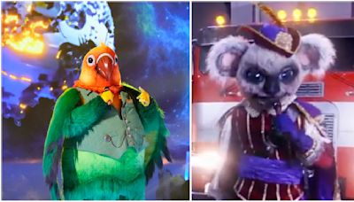 ‘The Masked Singer’ Reveals Identities of Koala and Love Bird: Here Are the Celebrities Under the Costumes