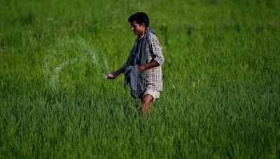 Fertiliser stocks see strong profit booking after Union budget raises allocation for rural development