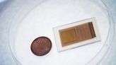 Wearable ultrasound patch enables continuous, non- | Newswise