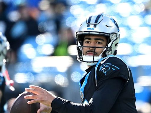 What are the playoff odds for the Carolina Panthers