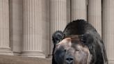 Why this Wall Street bear says it's time to sell stocks again