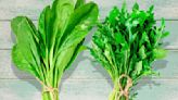Spinach Vs Arugula: The Difference That You Can Taste