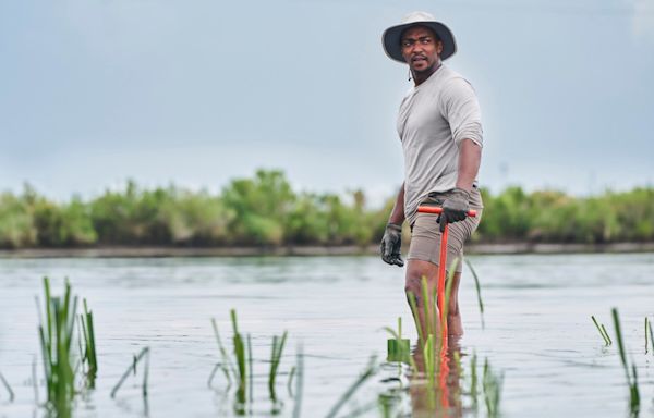 No shield required: ‘Captain America’ star Anthony Mackie’s own super power is swimming with sharks