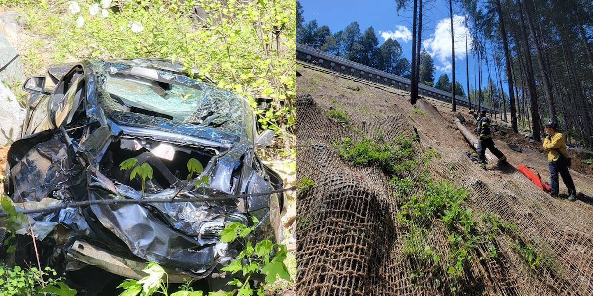 Driver killed after Tesla crashed 300 feet down hillside, officials say