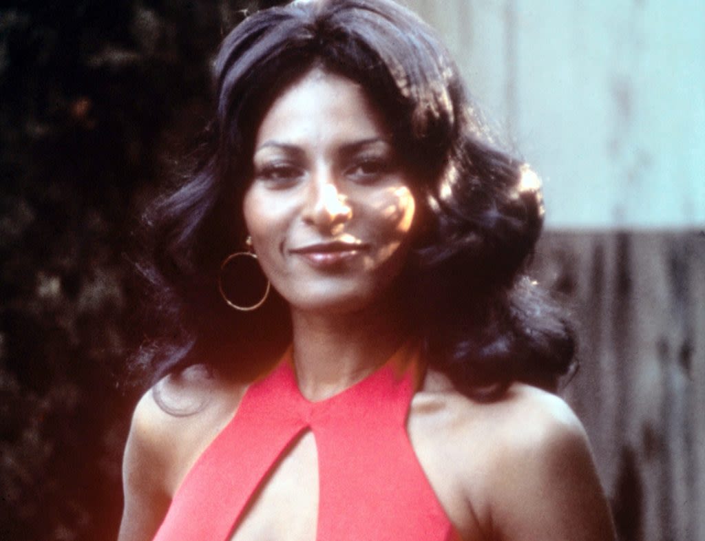 ‘Foxy Brown’, AKA Pam Grier, Will See Stage And TV Adaptations Of Her Works