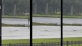 VIDEO | Tiburones nadan en calles de Florida tras inundaciones por huracán Ian