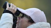 Want to become a birdwatcher in the Cape Fear? Here’s how to get started