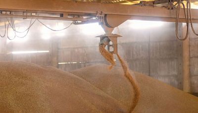 Bumper Harvests Drive Earnings Miss for Crop Trader Bunge