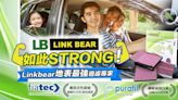 LINK BEAR(LB) 多效汽車濾網 車室空間淨化專家