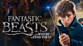 Fantastic Beasts and Where to Find Them Streaming: Watch & Stream Online via HBO Max