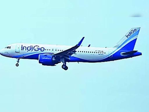 Bagdogra flight to Darjeeling for easier travel | Bhubaneswar News - Times of India