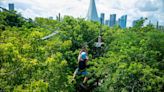 This zipline adventure park opened in the heart of Miami with views of downtown and the bay