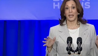 In Jacksonville, VP Kamala Harris says abortion rights are a fight for freedom