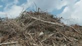 St. Tammany Parish set to burn 15,000 yards of debris from April storms