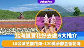 日本旅遊｜北海道賞花好去處Top6！10公頃芝櫻花海、收割薰衣草...