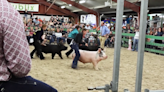 Parents say their children are still waiting for winnings after Lee County takes over SWFL AG Expo