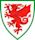 Wales national association football team