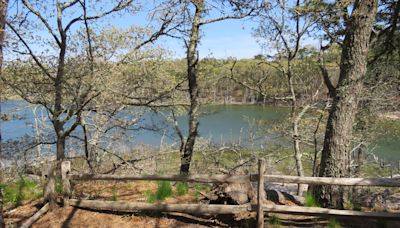 Try these great Cape Cod summer hikes: Shade, swimming, vistas and more