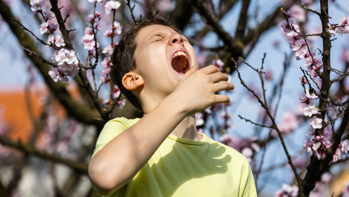 The Pollen Bomb Cometh: Why Your Hay Fever Is Hitting Earlier Than Ever