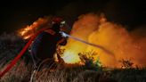 Incêndio florestal atinge a ilha grega de Evia pelo segundo dia