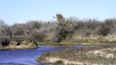 'A walk back in time': Where two rivers join, California will get a new state park