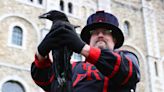 The Tower of London ravens have been locked down so they don’t get avian flu