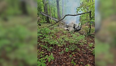 2 dead in Virginia plane crash en route to Georgetown County